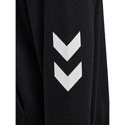 Présentation: Hummel Legacy 2.0 Sweat À Capuchon Hommes - Noir