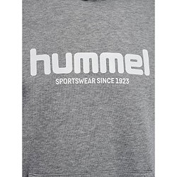 Présentation: Hummel Legacy 2.0 Sweat À Capuchon Hommes - Gris Mélange