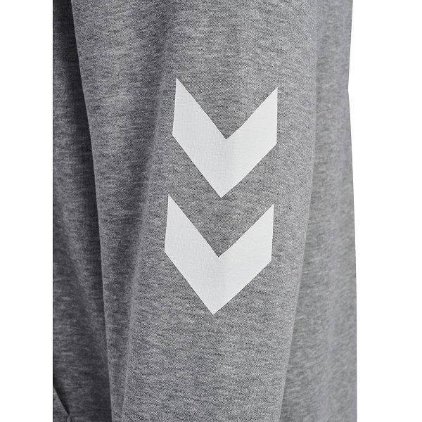 Hummel Legacy 2.0 Sweat À Capuchon Hommes - Gris Mélange