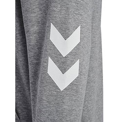 Présentation: Hummel Legacy 2.0 Sweat À Capuchon Hommes - Gris Mélange