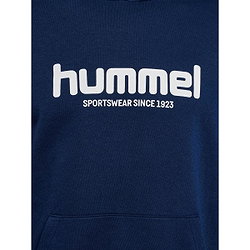 Présentation: Hummel Legacy 2.0 Sweat À Capuchon Hommes - Marine