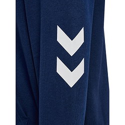 Présentation: Hummel Legacy 2.0 Sweat À Capuchon Hommes - Marine