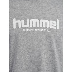 Présentation: Hummel Legacy 2.0 T-Shirt Manches Longues Hommes - Gris Mélange