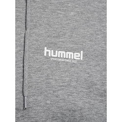 Présentation: Hummel Legacy 2.0 Sweat-Shirt Zippé Hommes - Gris Mélange