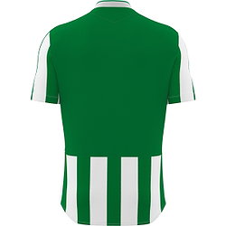 Présentation: Macron Legion Maillot Manches Courtes Hommes - Vert / Blanc