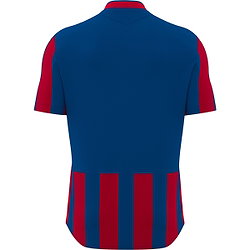 Vorschau: Macron Legion Trikot Kurzarm Kinder - Royal / Weiß