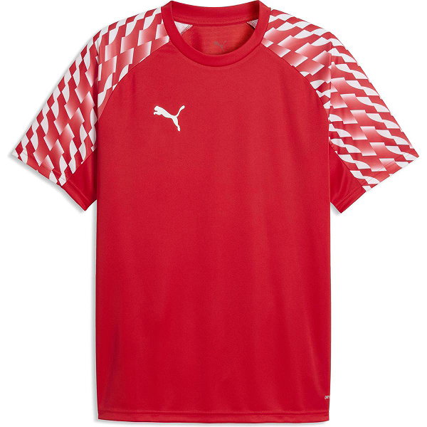 Puma Teamfinal Trikot Kurzarm Herren - Rot