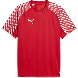 Puma Teamfinal Trikot Kurzarm Herren - Rot