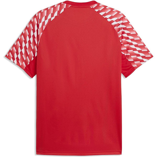 Puma Teamfinal Trikot Kurzarm Herren - Rot