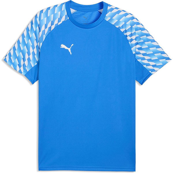 Puma Teamfinal Trikot Kurzarm Herren - Royal