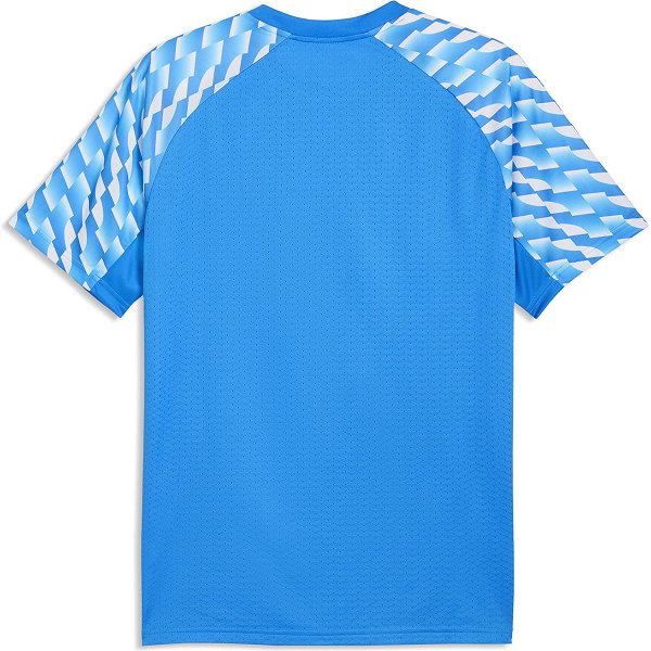 Puma Teamfinal Trikot Kurzarm Herren - Royal