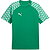 Puma Teamfinal Trikot Kurzarm Herren - Grün
