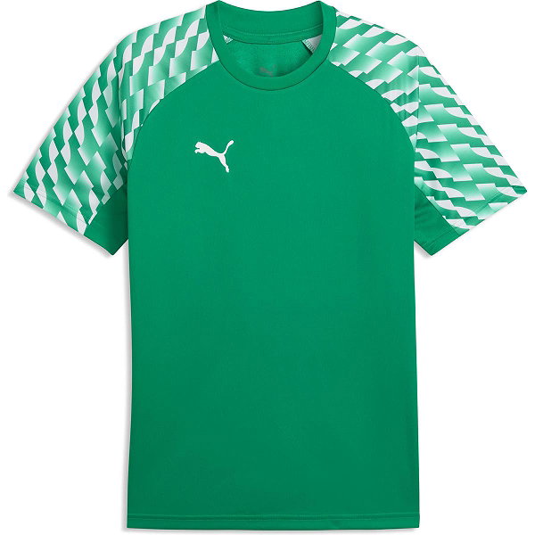 Puma Teamfinal Maillot Manches Courtes Hommes - Vert
