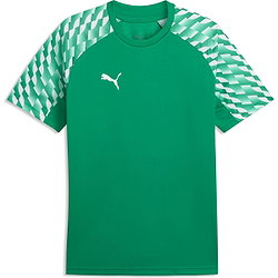 Puma Teamfinal Shirt Korte Mouw Heren - Groen
