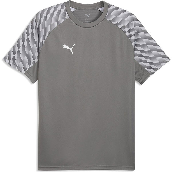 Puma Teamfinal Trikot Kurzarm Herren - Grau