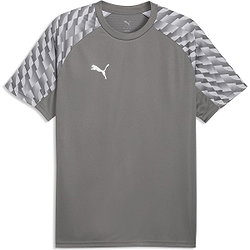 Puma Teamfinal Trikot Kurzarm Herren - Grau