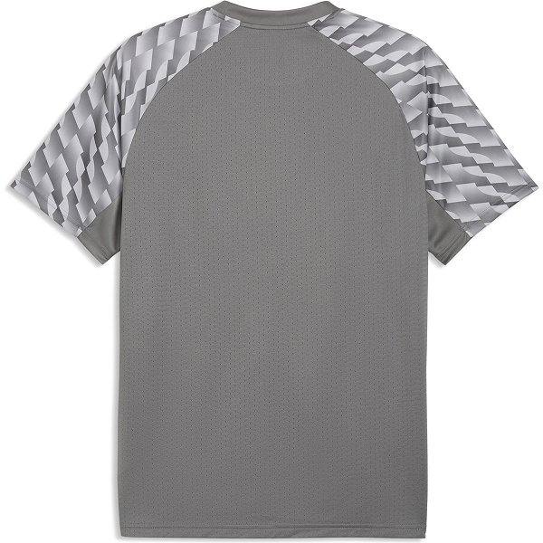 Puma Teamfinal Trikot Kurzarm Herren - Grau
