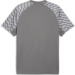 Vorschau: Puma Teamfinal Trikot Kurzarm Herren - Grau