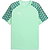 Puma Teamfinal Trikot Kurzarm Herren - Mint