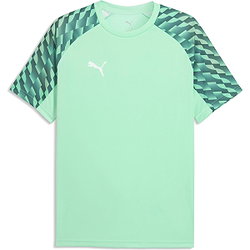 Vorschau: Puma Teamfinal Trikot Kurzarm Herren - Mint