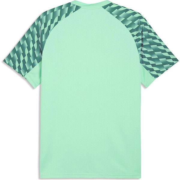 Puma Teamfinal Trikot Kurzarm Herren - Mint