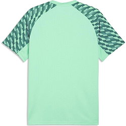 Vorschau: Puma Teamfinal Trikot Kurzarm Herren - Mint