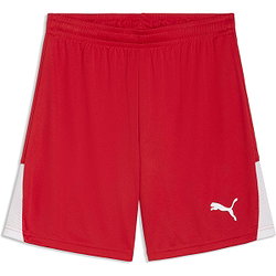 Puma Teamliga Shorts Herren - Rot