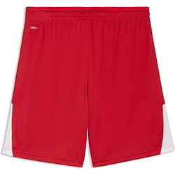Vorschau: Puma Teamliga Shorts Herren - Rot