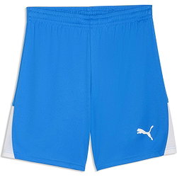 Puma Teamliga Short Hommes - Royal