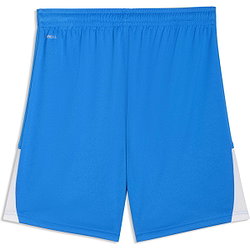 Vorschau: Puma Teamliga Shorts Herren - Royal