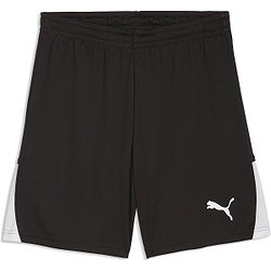 Puma Teamliga Short Hommes - Noir