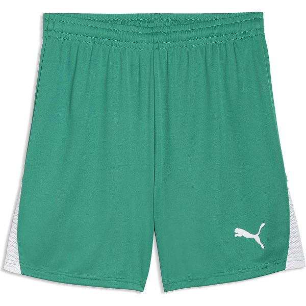 Puma Teamliga Short Hommes - Vert