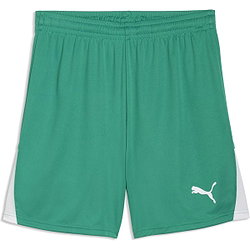 Puma Teamliga Short Heren - Groen