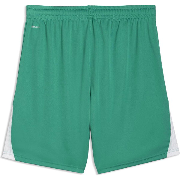 Puma Teamliga Short Hommes - Vert