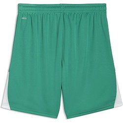 Présentation: Puma Teamliga Short Hommes - Vert