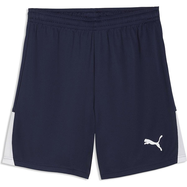 Puma Teamliga Shorts Herren - Marine