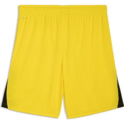 Vorschau: Puma Teamliga Shorts Herren - Gelb