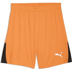 Puma Teamliga Short Hommes - Orange