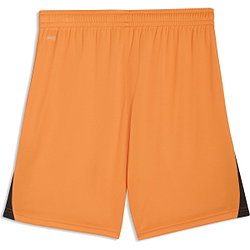 Vorschau: Puma Teamliga Shorts Herren - Orange