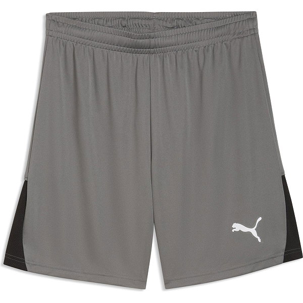 Puma Teamliga Shorts Herren - Grau