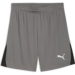 Puma Teamliga Shorts Herren - Grau