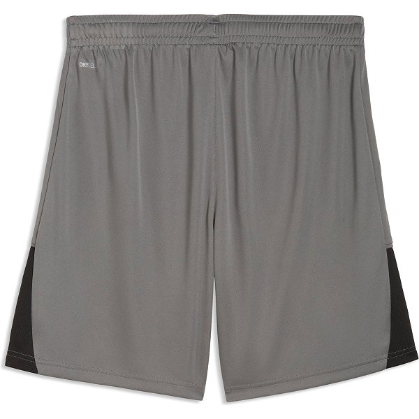 Puma Teamliga Shorts Herren - Grau