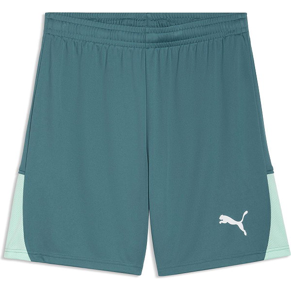 Puma Teamliga Short Hommes - Émeraude