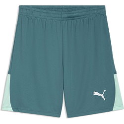 Puma Teamliga Short Hommes - Émeraude