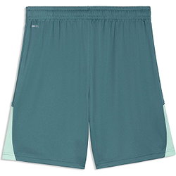 Présentation: Puma Teamliga Short Hommes - Émeraude