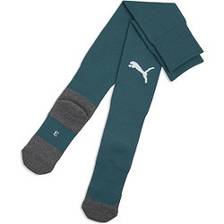 Puma Teamliga Voetbalkousen - Grijs / Emerald