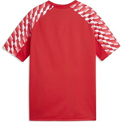 Vorschau: Puma Teamliga Trikot Kurzarm Kinder - Rot