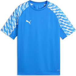 Vorschau: Puma Teamliga Trikot Kurzarm Kinder - Royal