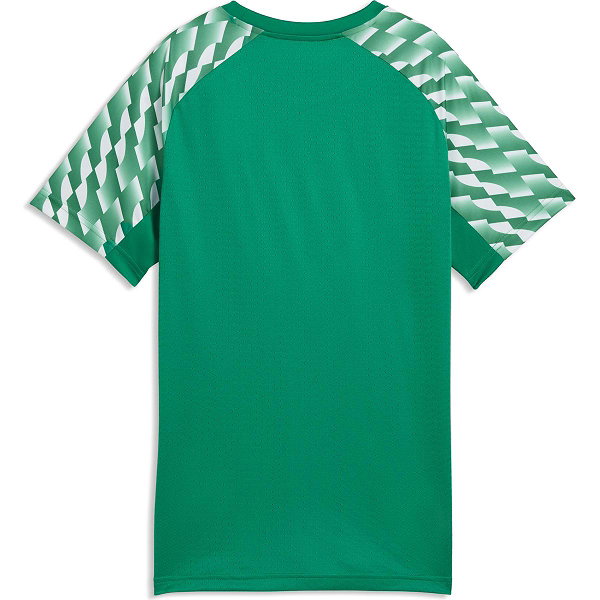 Puma Teamliga Shirt Korte Mouw Kinderen - Groen