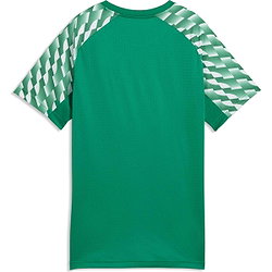 Voorvertoning: Puma Teamliga Shirt Korte Mouw Kinderen - Groen